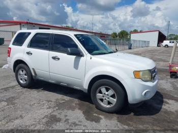  Salvage Ford Escape