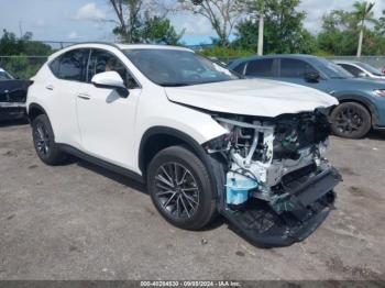  Salvage Lexus NX