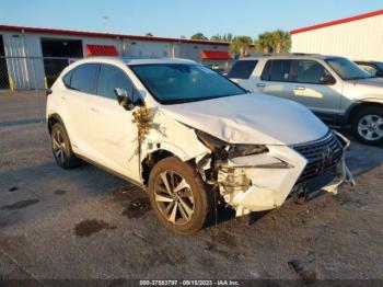  Salvage Lexus NX