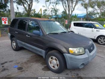  Salvage Ford Escape