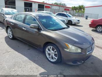  Salvage Nissan Maxima