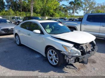  Salvage Nissan Maxima