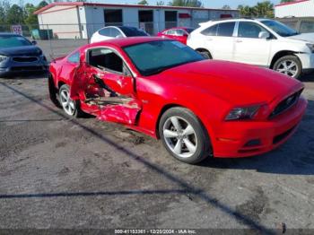  Salvage Ford Mustang