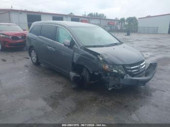  Salvage Honda Odyssey