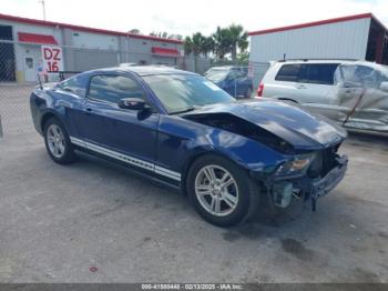  Salvage Ford Mustang