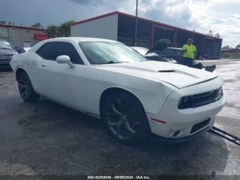  Salvage Dodge Challenger