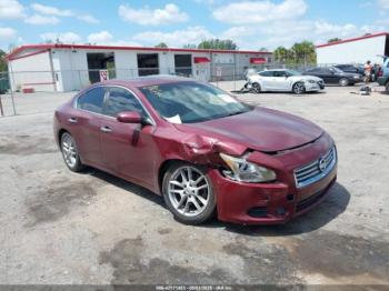  Salvage Nissan Maxima