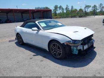  Salvage Ford Mustang