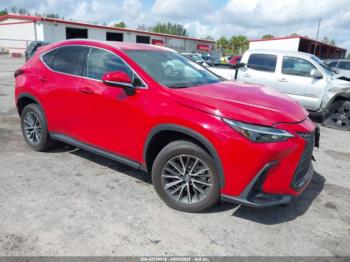  Salvage Lexus NX