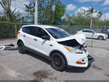  Salvage Ford Escape