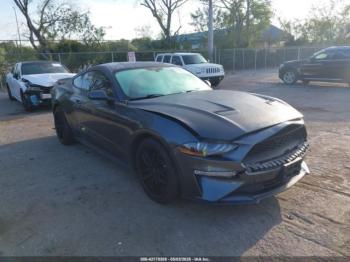  Salvage Ford Mustang