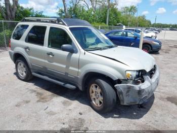  Salvage Ford Escape