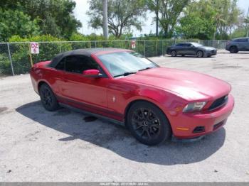  Salvage Ford Mustang
