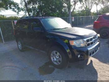  Salvage Ford Escape