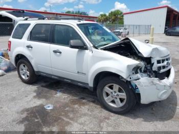  Salvage Ford Escape