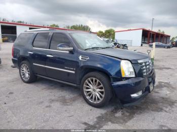  Salvage Cadillac Escalade