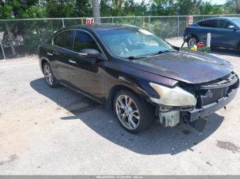  Salvage Nissan Maxima