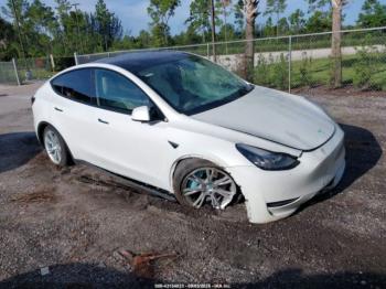  Salvage Tesla Model Y