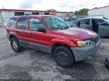  Salvage Ford Escape