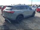 INFINITI Qx Luxe Image 14