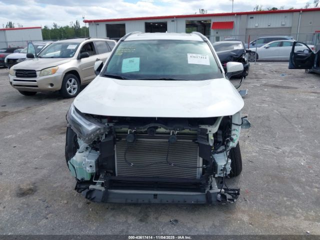 Toyota RAV4 Xle Premium Image 8