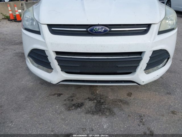 Ford Escape Se Image 5