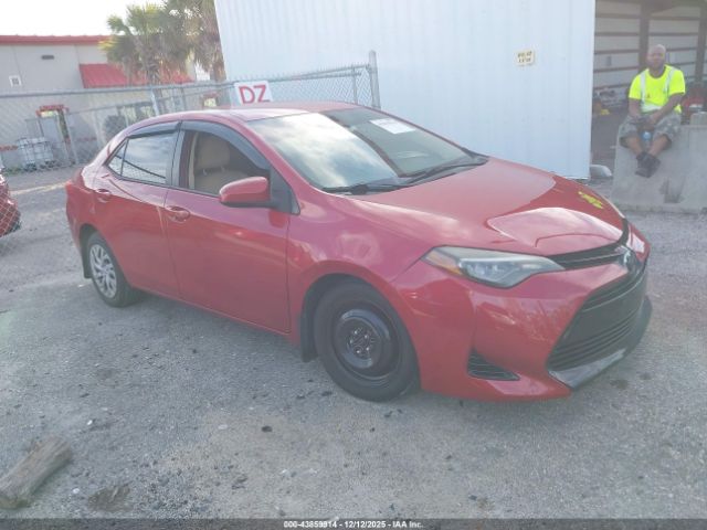 Toyota Corolla Le Image 1