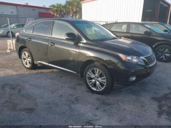  Salvage Lexus RX