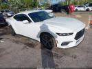Ford Mustang Ecoboost Fastback Image 1