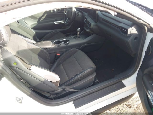 Ford Mustang Ecoboost Fastback Image 7