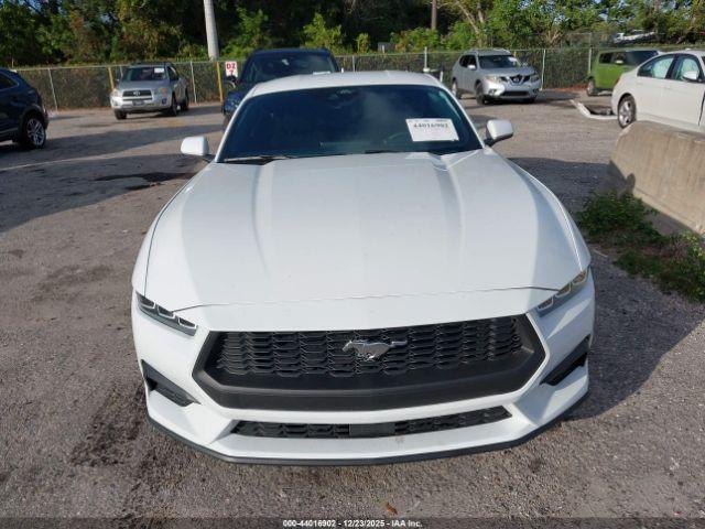 Ford Mustang Ecoboost Fastback Image 11
