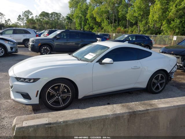 Ford Mustang Ecoboost Fastback Image 12