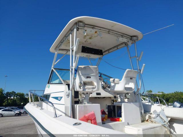 Grady White Other Image 3