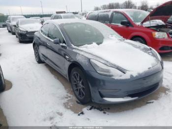 2019 Tesla Model 3 5YJ3E1EA2KF******