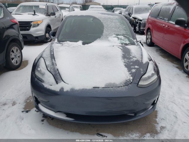 Tesla Model 3 Image 3