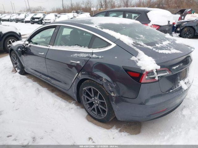 Tesla Model 3 Image 5